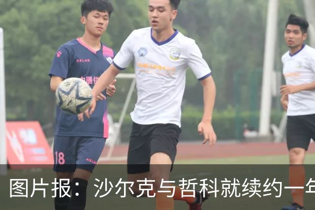 图片报：沙尔克与哲科就续约一年达成一致，年薪最高可达130万欧