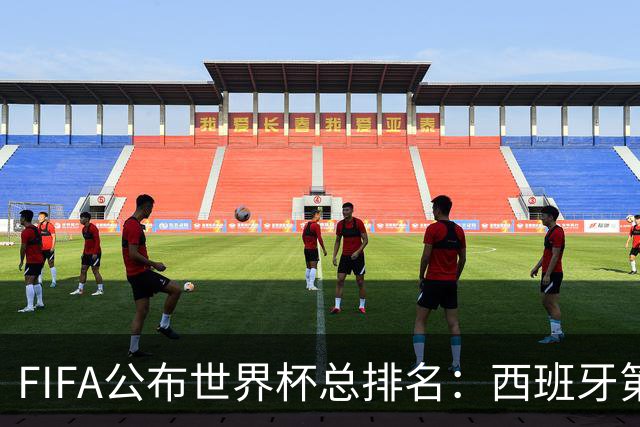 FIFA公布世界杯总排名：西班牙第1，巴西第11，荷兰、德国第17、18